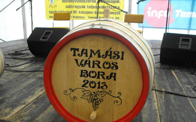 Kistérségi borfesztivál 2013