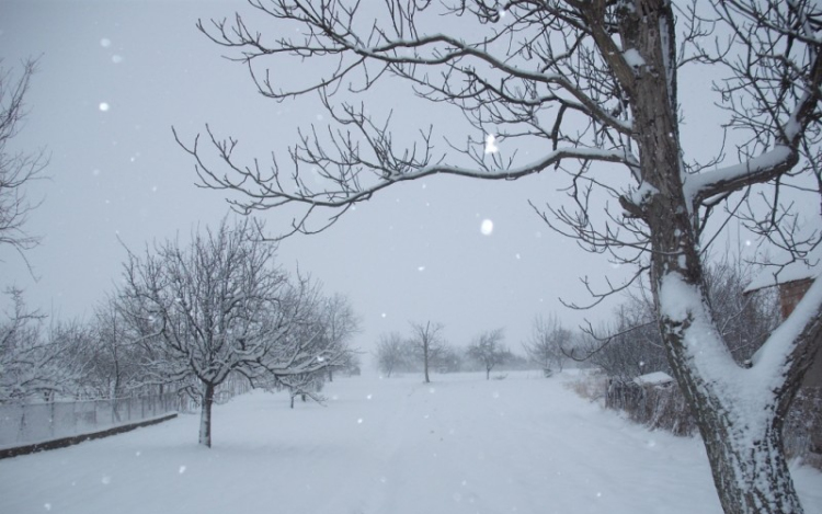 Sok esővel és hóval érkezik a hétvége