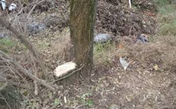 Nem tudta, hogy nem az övé