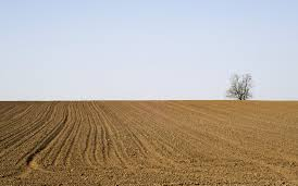 Kimérik az osztatlan közös földtulajdont