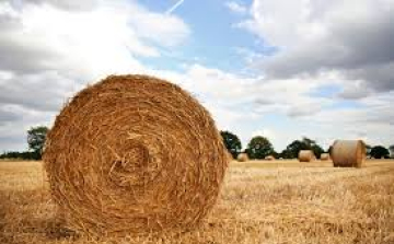 Meghívó agrárfórumra