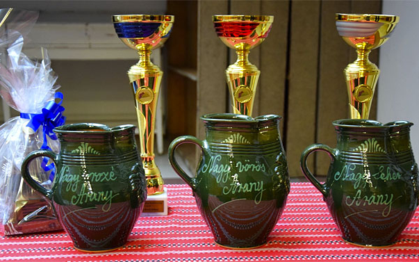 Szép eredményekkel zárult a 2025-ös Tamási Járási Borverseny