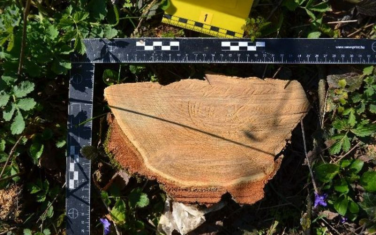 Akácfákat tulajdonított el három férfi