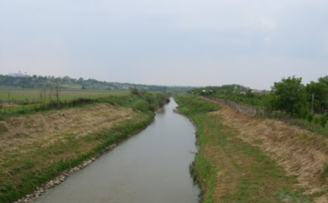 Feloldották a halfogási tilalmat két halfajra 