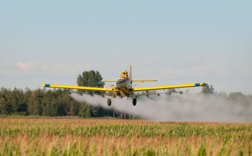 Reszkethetnek a szúnyogok, elsejétől elkezdődött a gyérítésük
