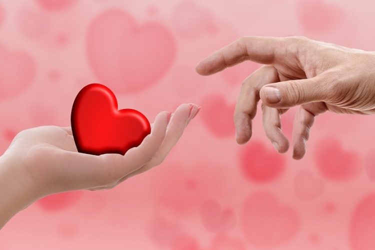 Idén a szívbeteg gyerekeknek gyűjtenek a családszervezetek jótékonysági vásárán