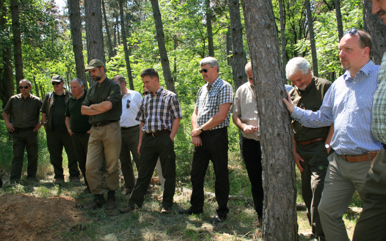 A fenyőpusztulásról és a fenyő szerkezetátalakításról tanácskoztak