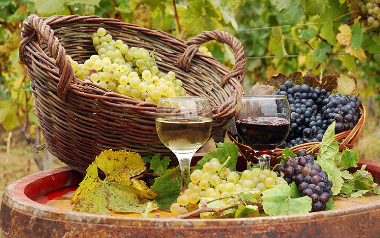 Szüreti mulatság lesz a hétvégén Szakályban