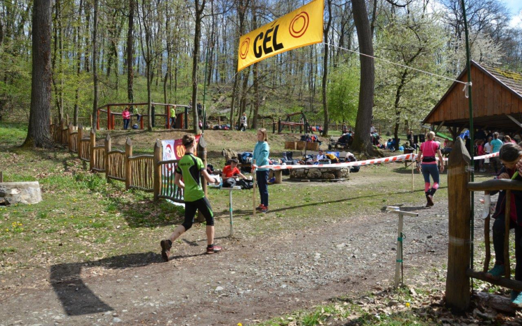 Tájékozódási futó bajnokságot rendeztek a Tolnai Zöldút mentén