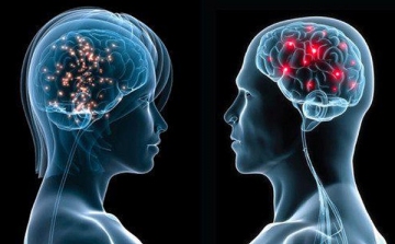 A térbeli tájékozódásért felelős agysejteket vizsgálta két magyar kutató