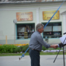 Kistérségi borverseny