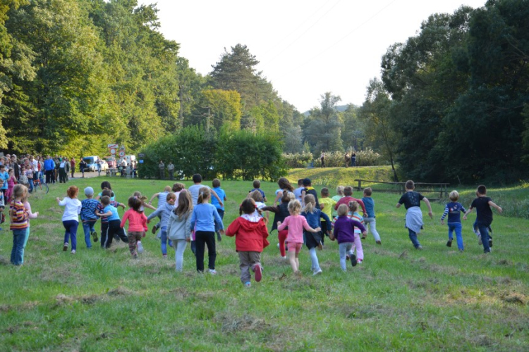 Trófeaszemle és szarvasbőgő élménytúra
