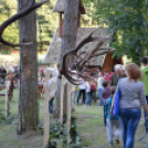 Trófeaszemle és szarvasbőgő élménytúra