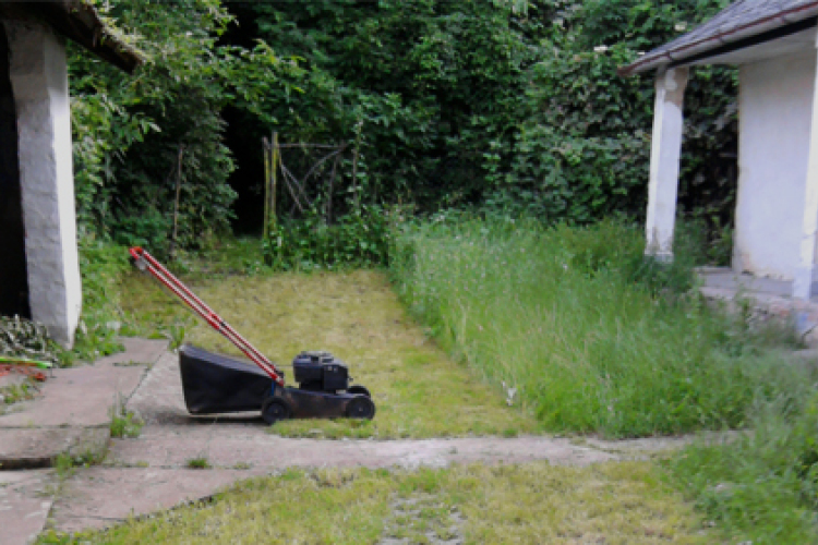 Felismerte fűnyíróját egy szomszédos szőlőbirtokon