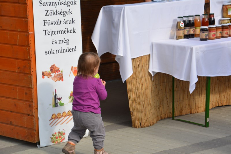 Kistérségi borverseny