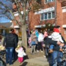 Faültetés a 2015-ben született gyermekek tiszteletére