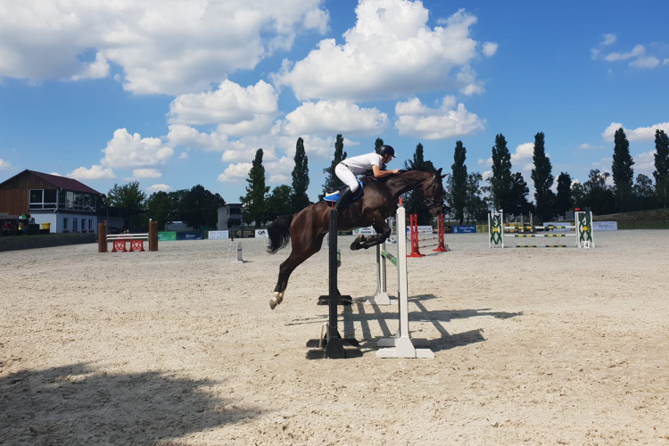 A 61. lovas napok volt már ez a sorban 