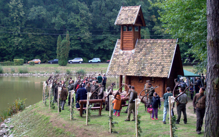 Trófea szemle és szarvasbőgő élménytúra