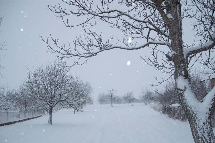 Sok esővel és hóval érkezik a hétvége