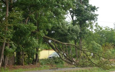 A tamási tűzoltóknak is akadt munkájuk a hosszú hétvégén