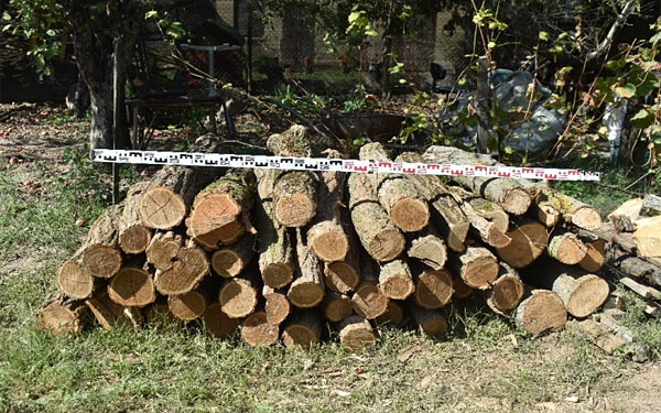  Kocsolán már aprították a tűzrevalót