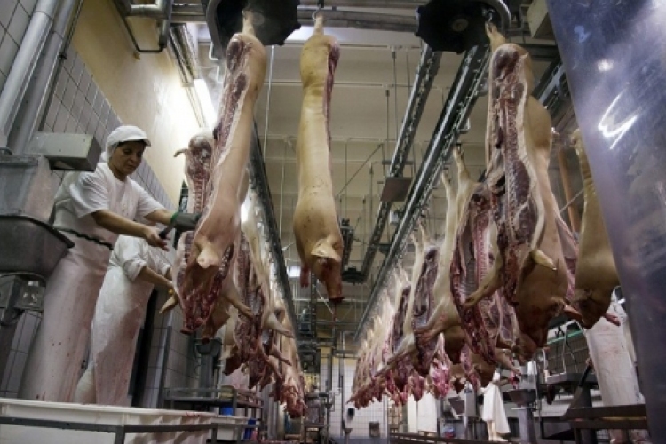 Kardeván: átmeneti intézkedés az orosz húsbeviteli tiltás
