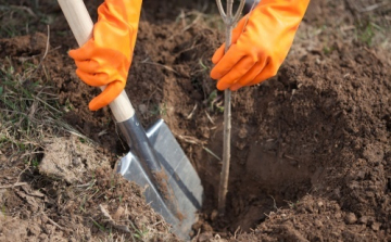 Közfoglalkoztatási Kiállítás és Konferencia