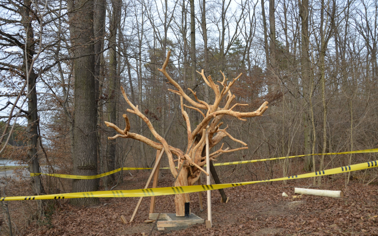 Cumifát avatnak holnap Tamásiban