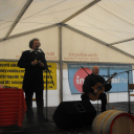 Kistérségi borfesztivál - 2013.04.06.