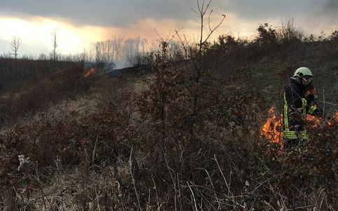 Hat hektáron égett az erdő