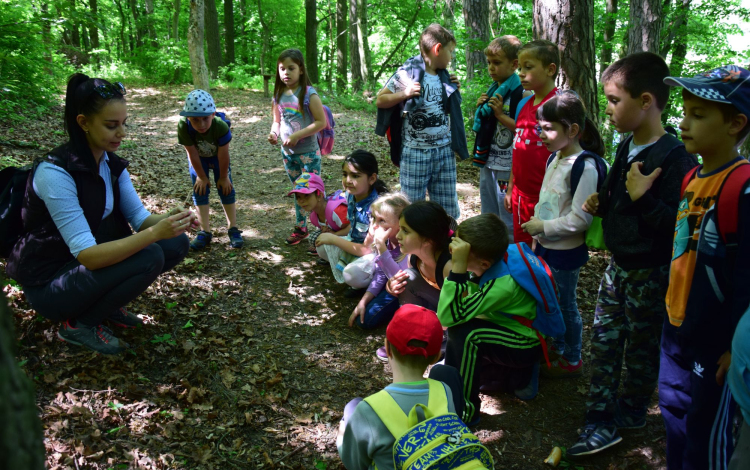 Az erdő volt a gyerekek tanterme