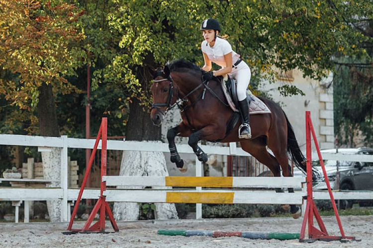 Tavaszi lovas rendezvények Tamásiban 