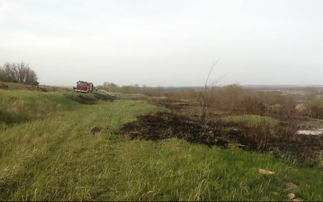 Gondozatlan szőlőskert, vágástéri hulladék égett