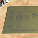 Faültetés a 2015-ben született gyermekek tiszteletére