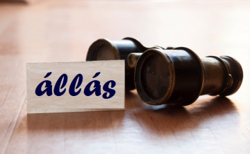 Tamási és környéke legfrissebb állásajánlatai