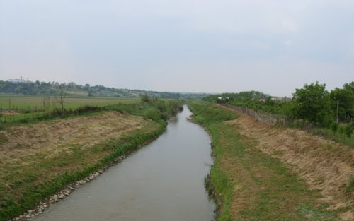 Feloldották a halfogási tilalmat két halfajra 