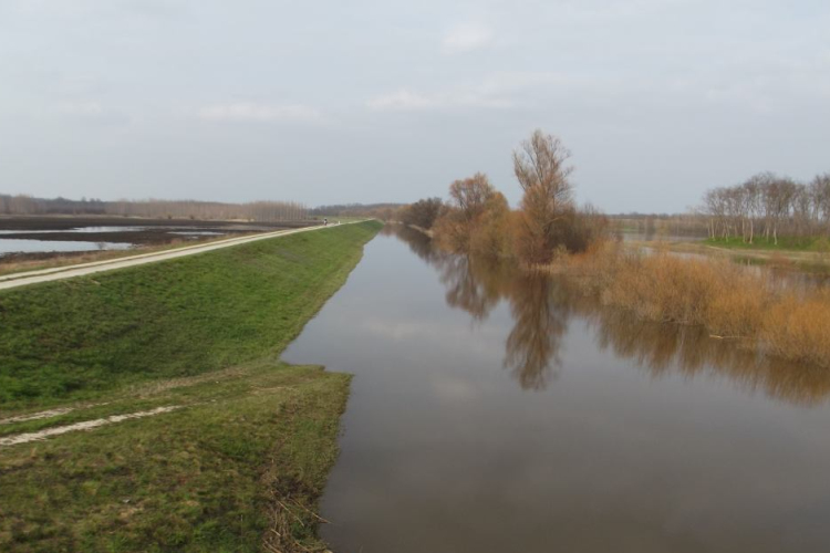 Legfrissebb árvízi információk