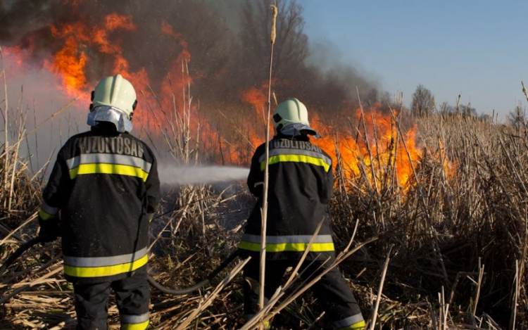 Tizenhat tűzesetből tizenkettő szabadtéri volt