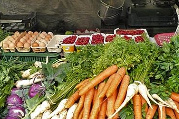 Ellenőrzésekre kell számítani Tolna megyében a héten 