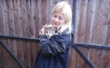 Cica mentésében segítettek a tűzoltók 