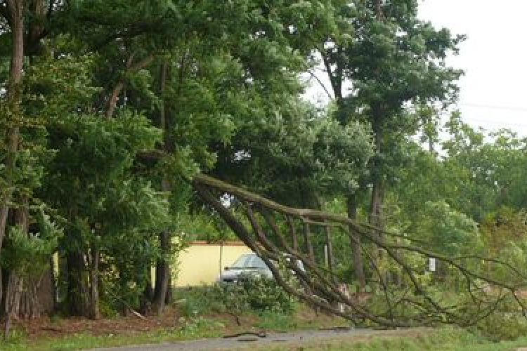 A tamási tűzoltóknak is akadt munkájuk a hosszú hétvégén