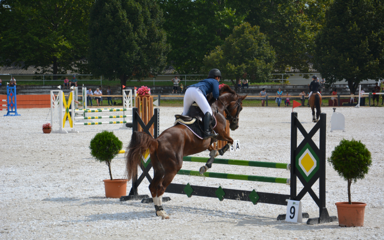 A jó idő beköszöntével élettel telik meg a tamási lovaspálya