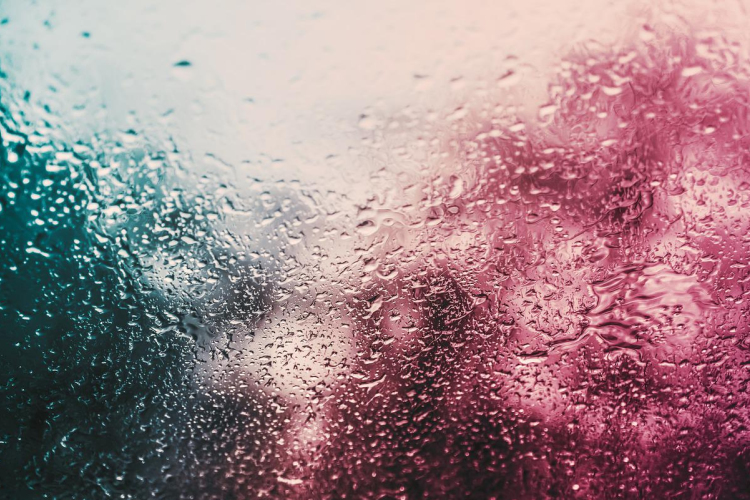 Szabályozott környezeti feltételek ipari páramentesítővel