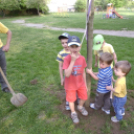 Májusfa állítás az oviban