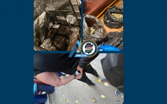 A termesztőig vezettek a drogfogás szálai