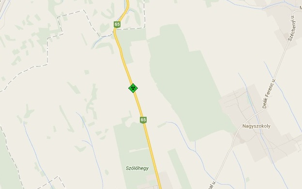 Fa dőlt az úttestre