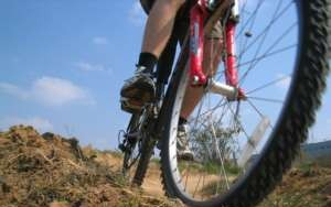 Családi kerékpártúra