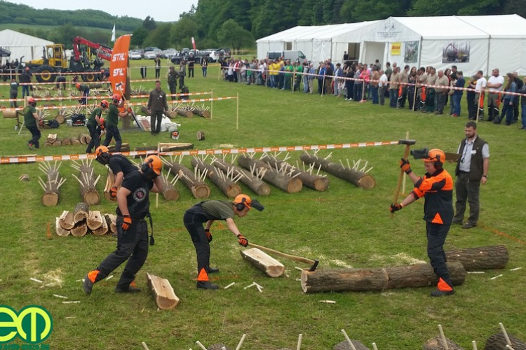 STIHL fakitermelő verseny zajlott a Dél-Dunántúlon