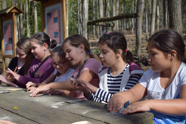 Erdők Hete a Tamási Vadasparkban