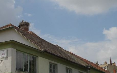 Megérkeztek a gólyák 